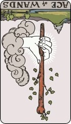  Ace of wands tarot card reversed