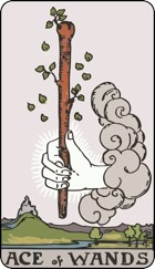  Ace of wands tarot card upright