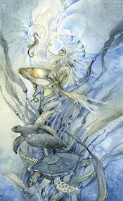 King of cups Shadowscapes tarot card upright