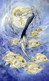 Nine of cups Shadowscapes tarot card upright