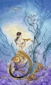 Page of cups Shadowscapes tarot card upright
