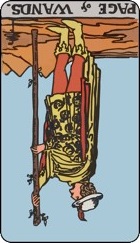 Page of wands tarot card upright
