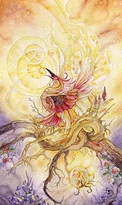 The Death Shadowscapes tarot card upright