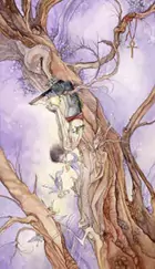 The Hanged Man Shadowscapes Tarot - Mô tả & Giải nghĩa Trải bài